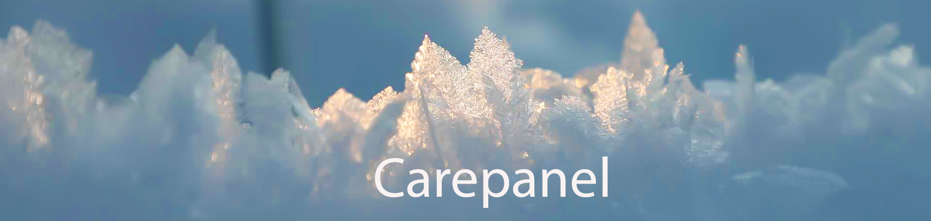carepanel banner liten skrift.jpg